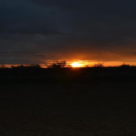 Wild Amboseli Ndovu Cottage. Eksteriør billede