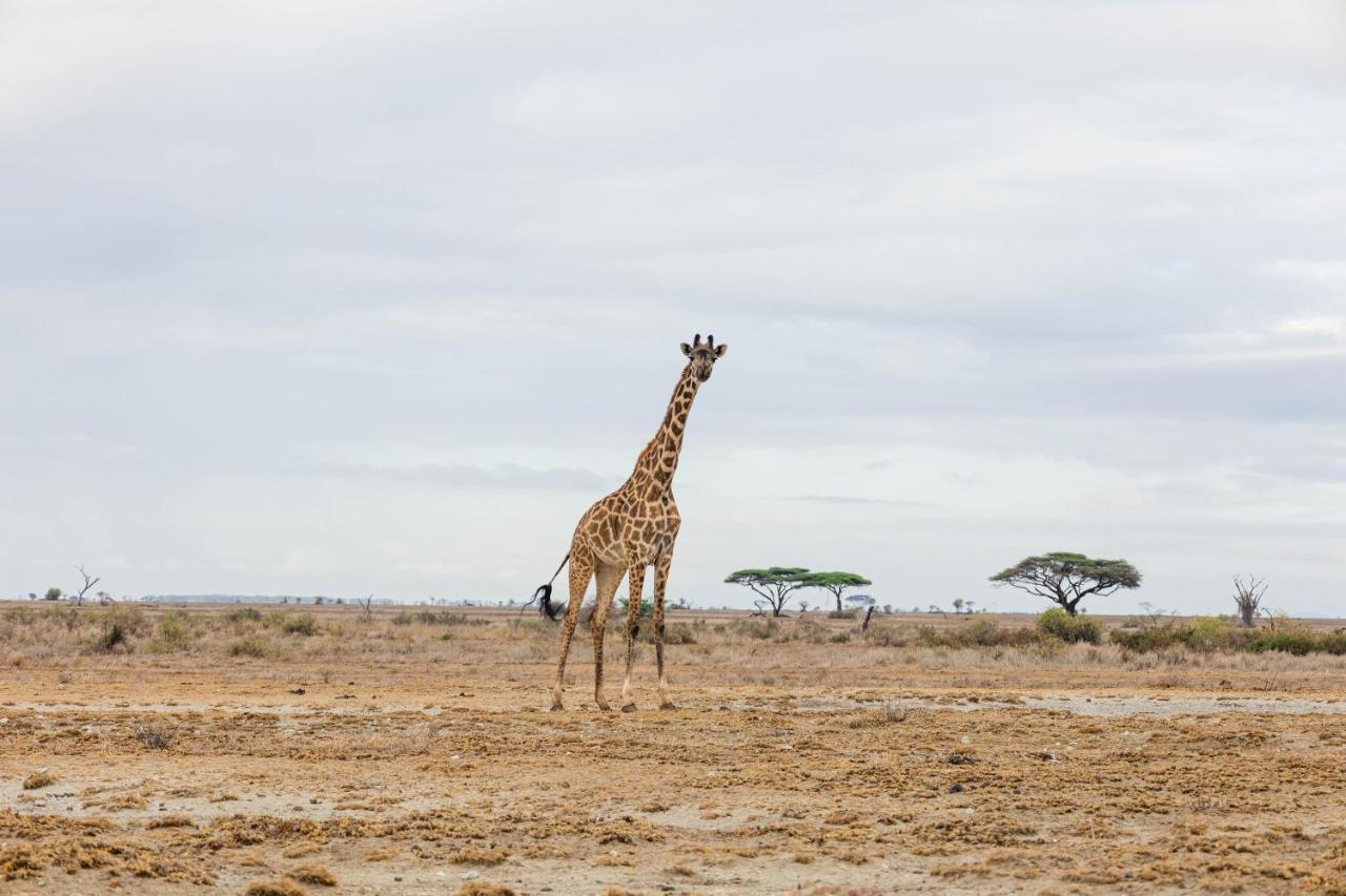 Wild Amboseli Ndovu Cottage. Eksteriør billede