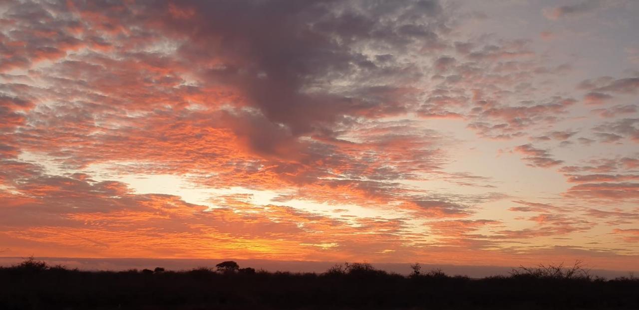 Wild Amboseli Ndovu Cottage. Eksteriør billede