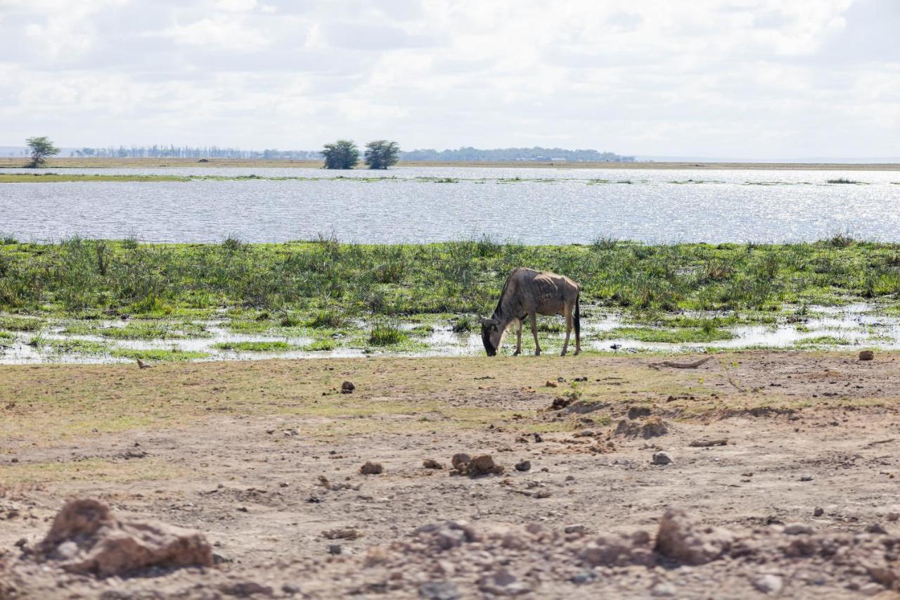 Wild Amboseli Ndovu Cottage. Eksteriør billede