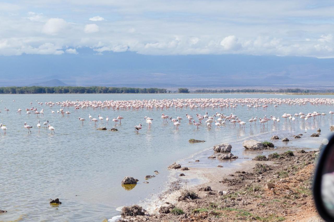 Wild Amboseli Ndovu Cottage. Eksteriør billede