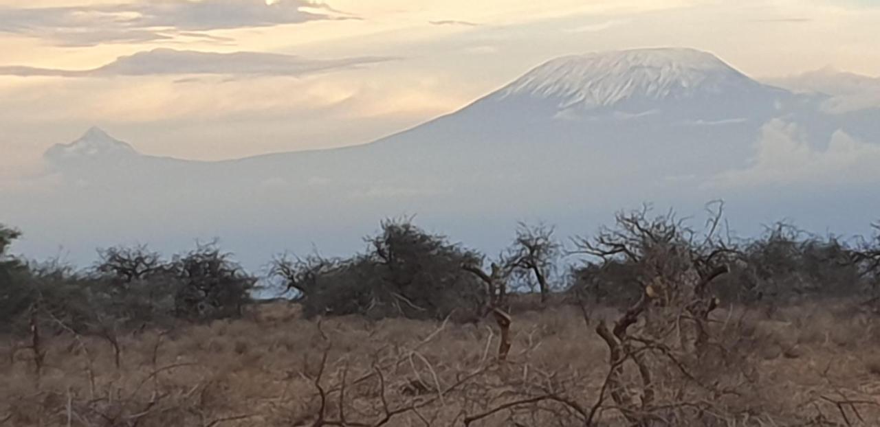 Wild Amboseli Ndovu Cottage. Eksteriør billede