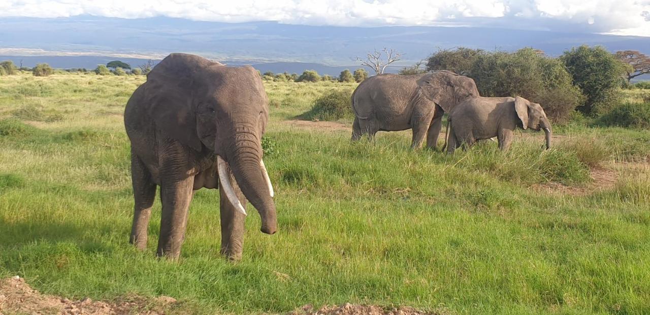 Wild Amboseli Ndovu Cottage. Eksteriør billede