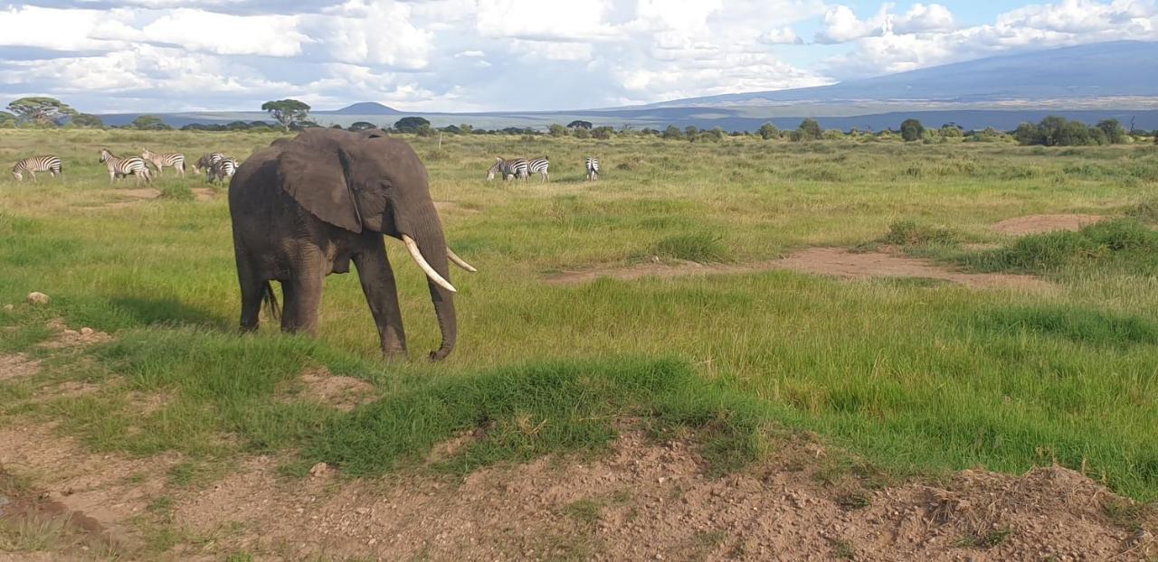 Wild Amboseli Ndovu Cottage. Eksteriør billede