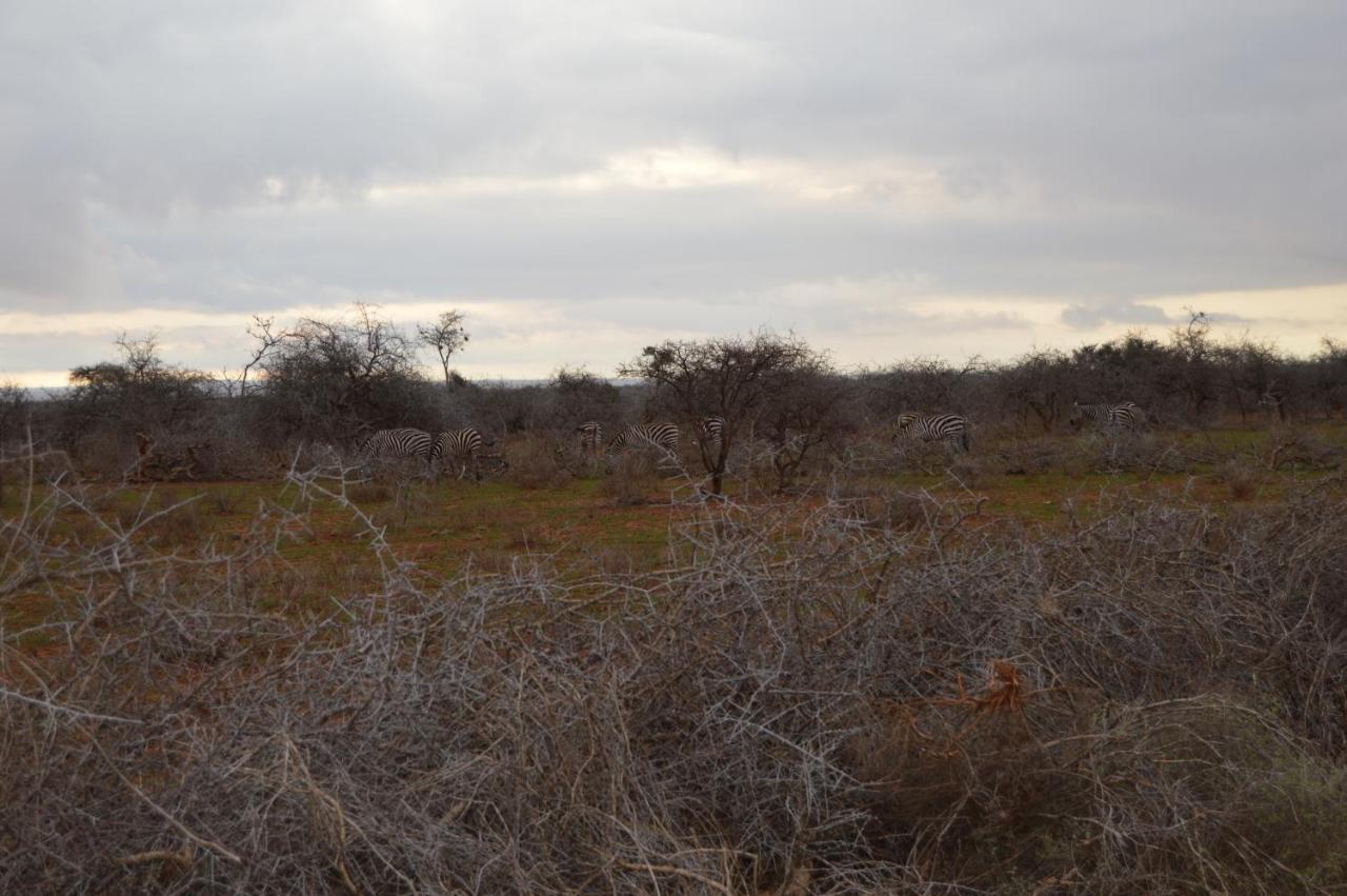 Wild Amboseli Ndovu Cottage. Eksteriør billede