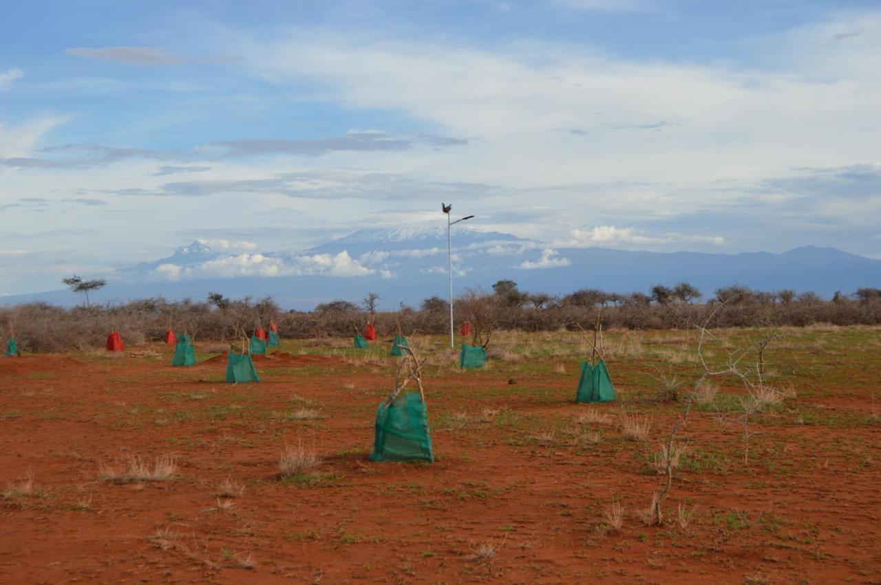 Wild Amboseli Ndovu Cottage. Eksteriør billede