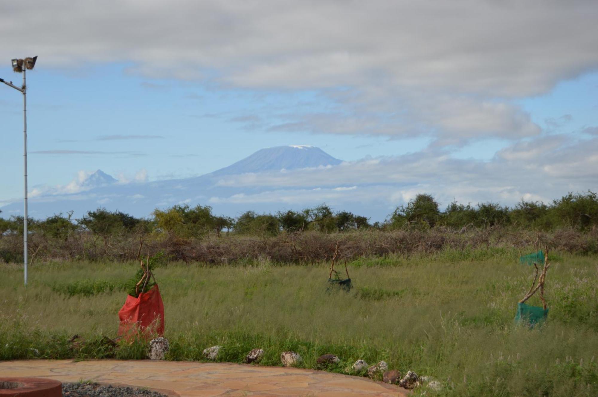 Wild Amboseli Ndovu Cottage. Eksteriør billede