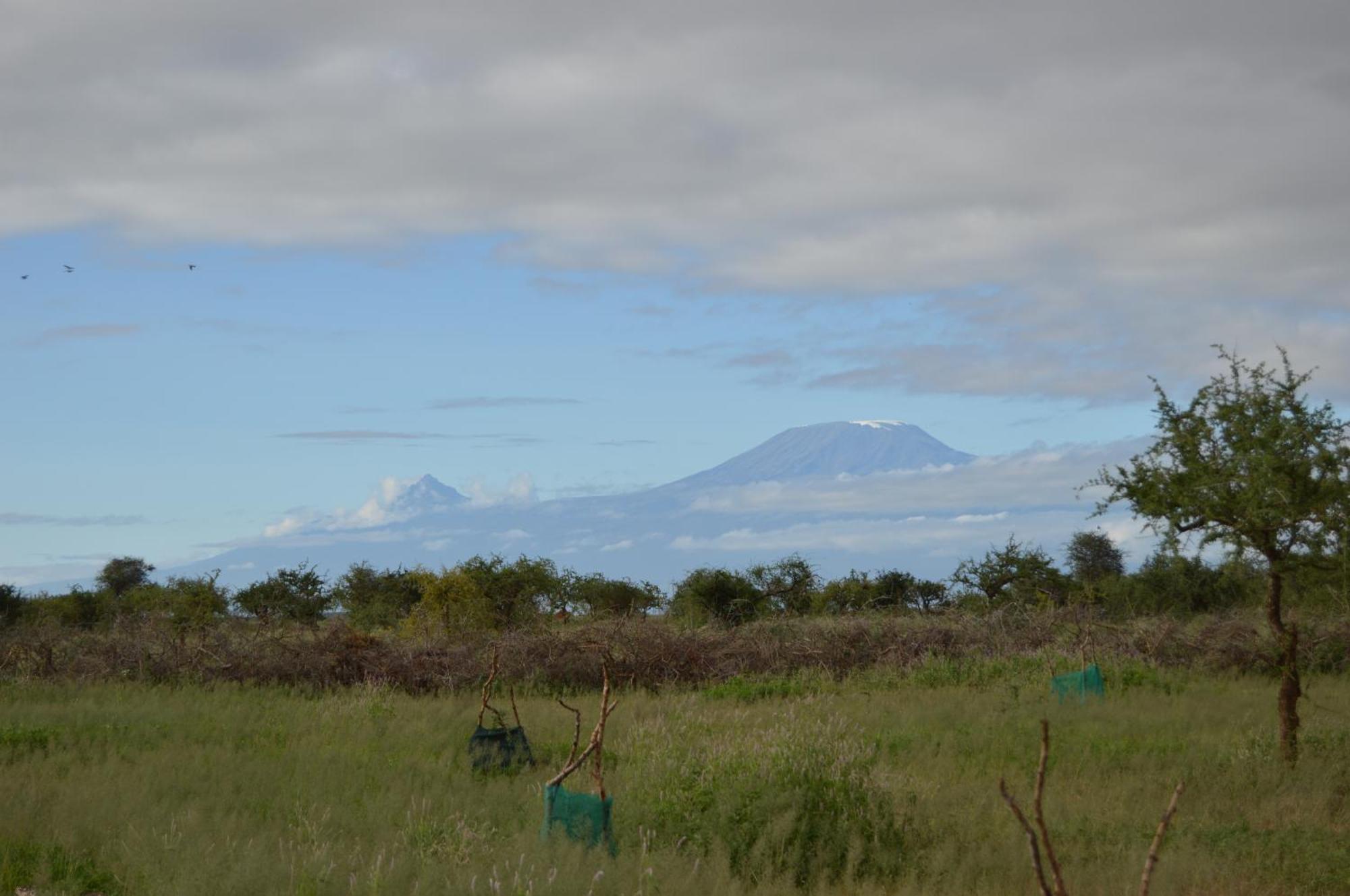 Wild Amboseli Ndovu Cottage. Eksteriør billede