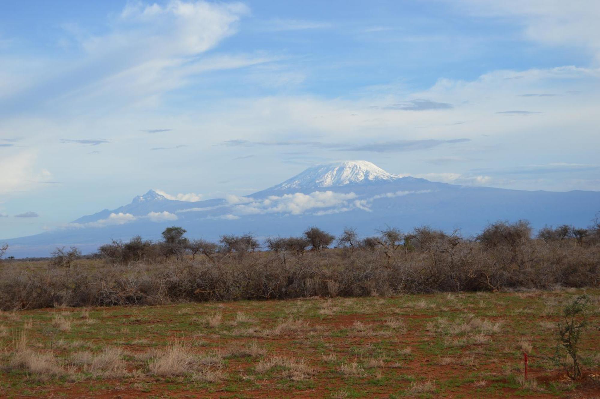Wild Amboseli Ndovu Cottage. Eksteriør billede